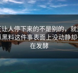 真正让人停下来的不是别的，就是51吃瓜黑料这件事表面上没动静却一直在发酵