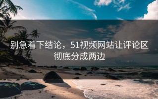 别急着下结论，51视频网站让评论区彻底分成两边